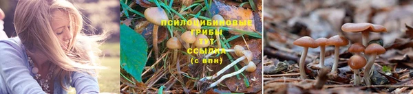скорость Новый Уренгой