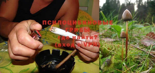 ешки Долгопрудный