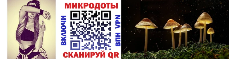Галлюциногенные грибы мухоморы  Монино 